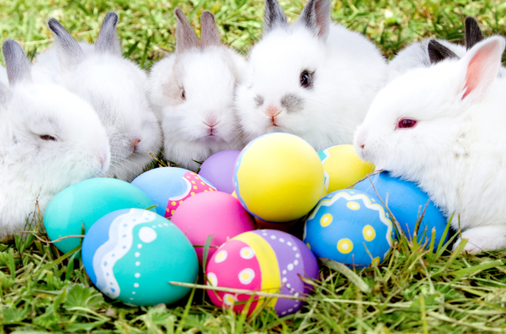 Easter bunny craft ideas